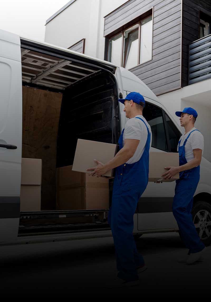 professionelle Umzugsfirma